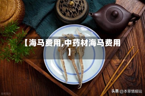 【海马费用,中药材海马费用】