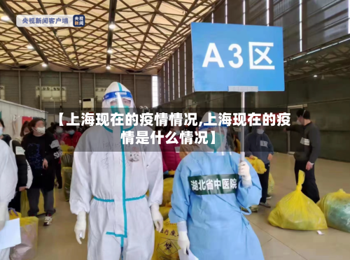 【上海现在的疫情情况,上海现在的疫情是什么情况】-第2张图片