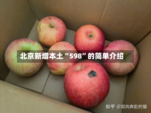 北京新增本土“598	”的简单介绍-第2张图片
