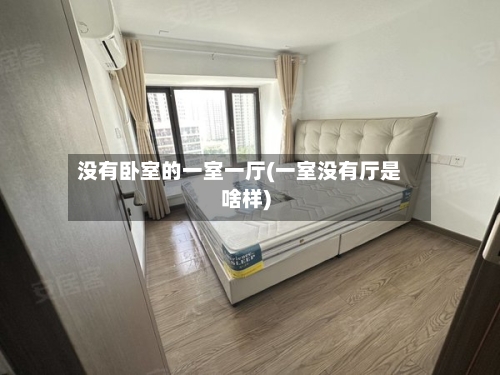 没有卧室的一室一厅(一室没有厅是啥样)-第2张图片