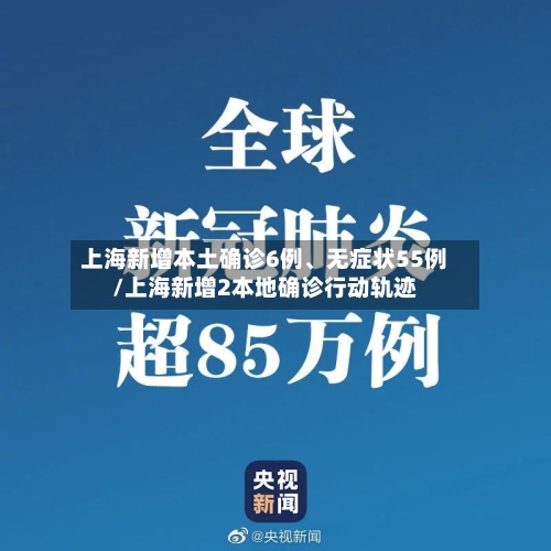 上海新增本土确诊6例	、无症状55例/上海新增2本地确诊行动轨迹-第3张图片
