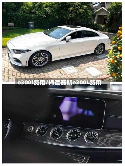 e300l费用/梅德赛斯e300L费用
