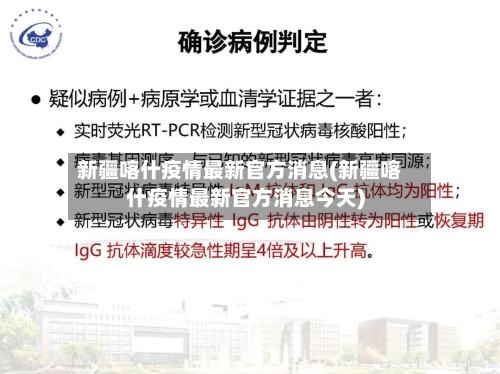 新疆喀什疫情最新官方消息(新疆喀什疫情最新官方消息今天)-第2张图片