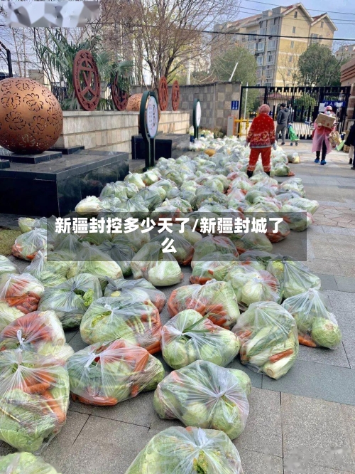 新疆封控多少天了/新疆封城了么