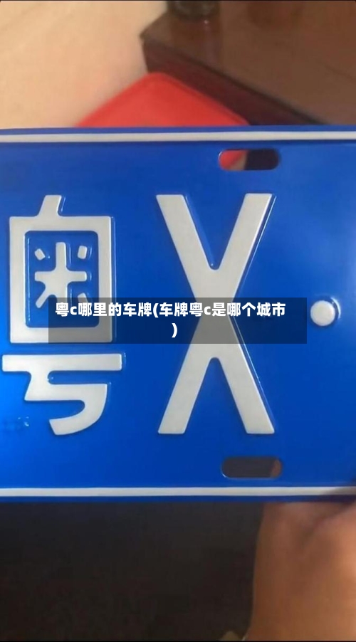 粤c哪里的车牌(车牌粤c是哪个城市)