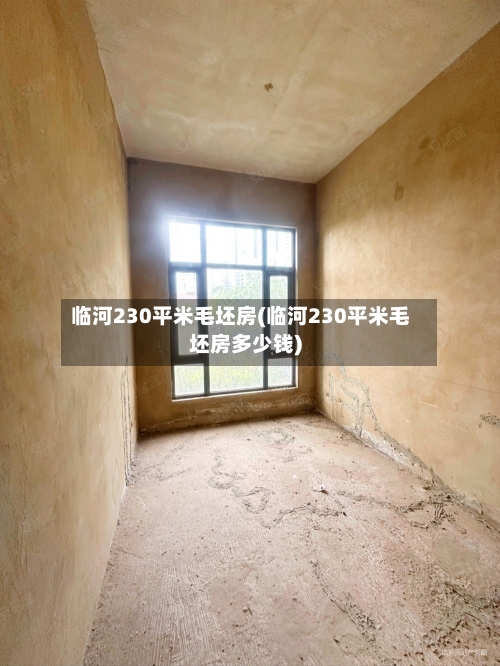 临河230平米毛坯房(临河230平米毛坯房多少钱)-第3张图片