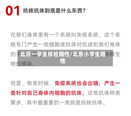 北京一学生核检阳性/北京小学生阳性-第3张图片