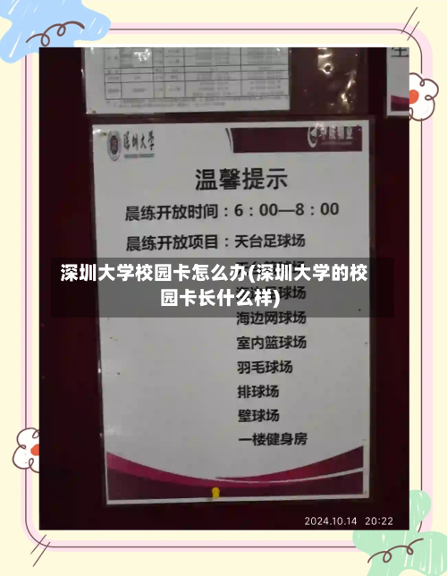 深圳大学校园卡怎么办(深圳大学的校园卡长什么样)-第3张图片