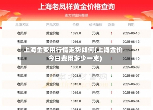 上海金费用行情走势如何(上海金价今日费用多少一克)