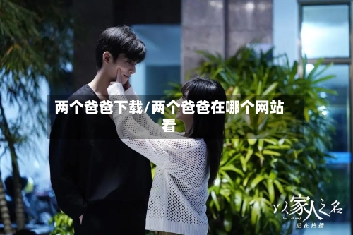 两个爸爸下载/两个爸爸在哪个网站看