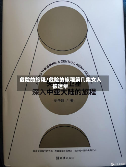 危险的旅程/危险的旅程第几集女人被迷晕-第2张图片