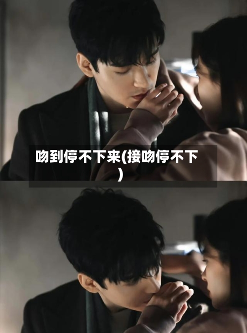 吻到停不下来(接吻停不下)