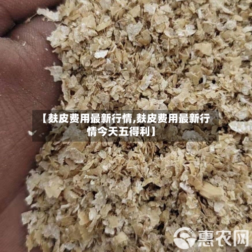 【麸皮费用最新行情,麸皮费用最新行情今天五得利】