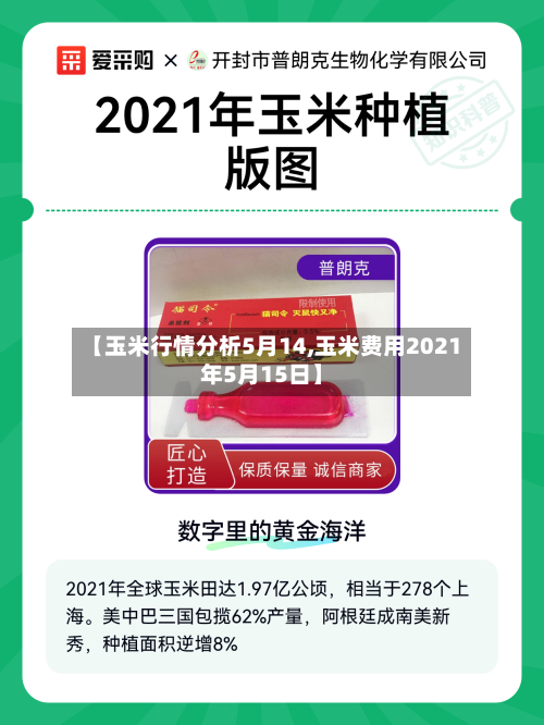 【玉米行情分析5月14,玉米费用2021年5月15日】