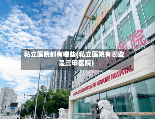 私立医院都有哪些(私立医院有哪些是三甲医院)-第3张图片