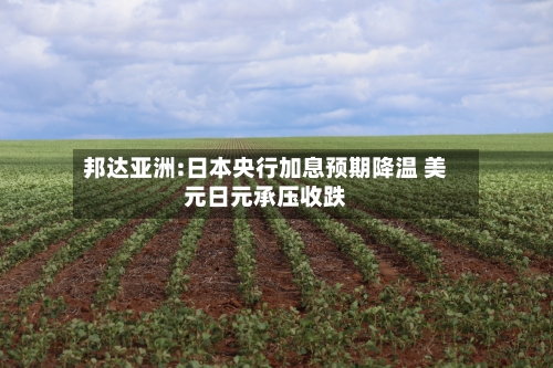 邦达亚洲:日本央行加息预期降温 美元日元承压收跌