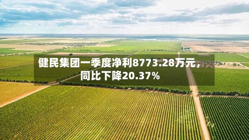健民集团一季度净利8773.28万元，同比下降20.37%-第3张图片