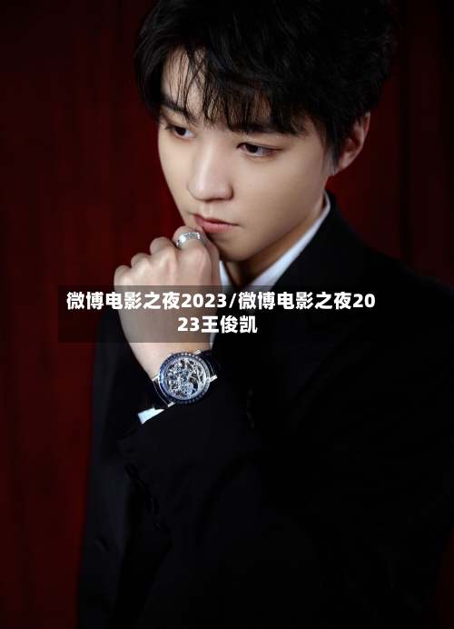 微博电影之夜2023/微博电影之夜2023王俊凯-第3张图片