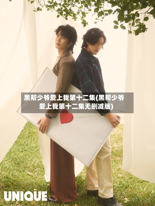 黑帮少爷爱上我第十二集(黑帮少爷爱上我第十二集无删减版)-第2张图片