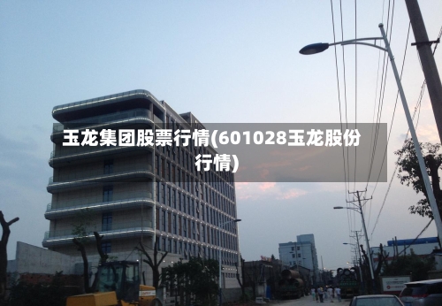 玉龙集团股票行情(601028玉龙股份行情)