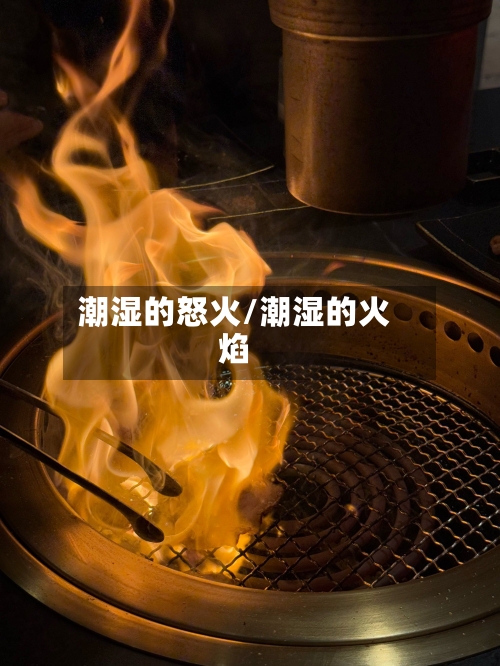 潮湿的怒火/潮湿的火焰