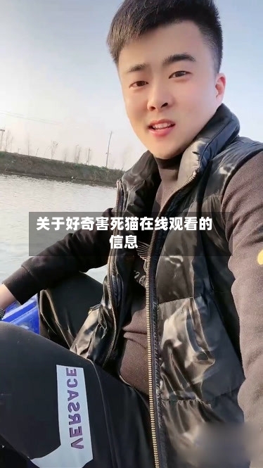 关于好奇害死猫在线观看的信息-第2张图片