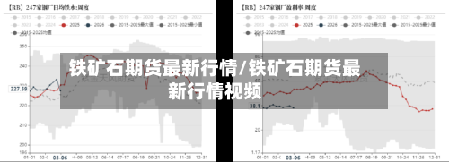 铁矿石期货最新行情/铁矿石期货最新行情视频-第2张图片