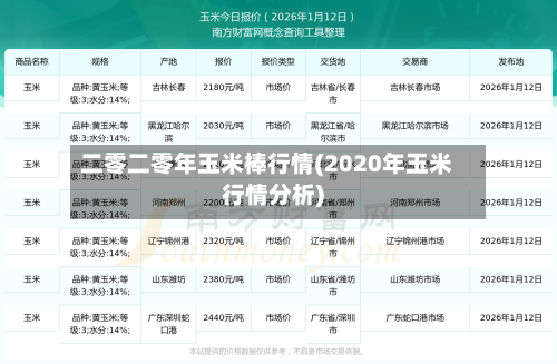 二零二零年玉米棒行情(2020年玉米行情分析)-第3张图片