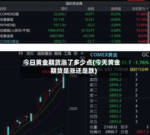 今日黄金期货涨了多少点(今天黄金期货是涨还是跌)-第2张图片