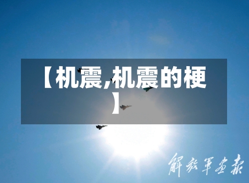 【机震,机震的梗】-第2张图片