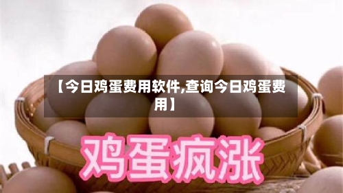 【今日鸡蛋费用软件,查询今日鸡蛋费用】-第3张图片