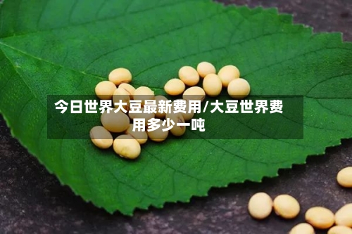 今日世界大豆最新费用/大豆世界费用多少一吨-第2张图片