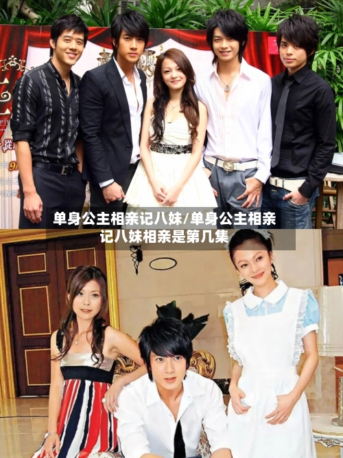 单身公主相亲记八妹/单身公主相亲记八妹相亲是第几集
