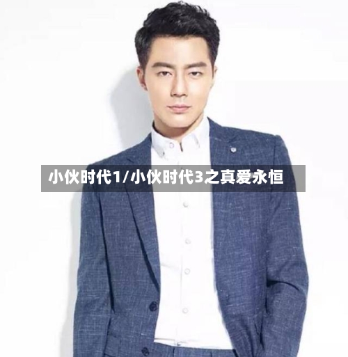 小伙时代1/小伙时代3之真爱永恒-第2张图片