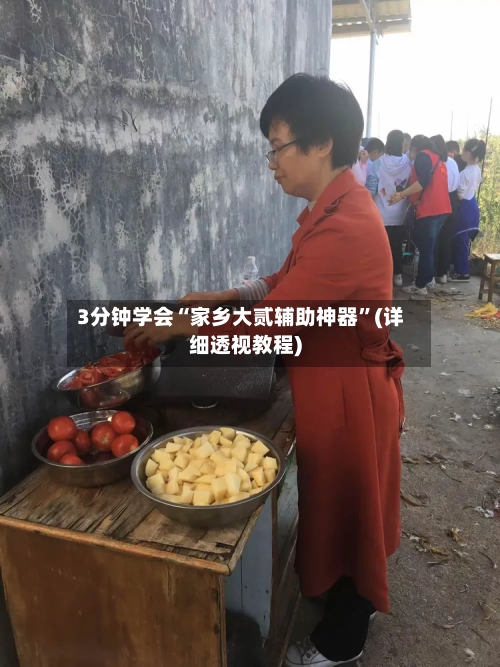 3分钟学会“家乡大贰辅助神器”(详细透视教程)