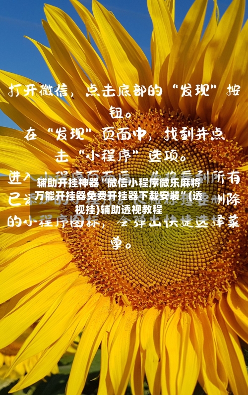 辅助开挂神器“微信小程序微乐麻将万能开挂器免费开挂器下载安装	”(透视挂)辅助透视教程-第2张图片