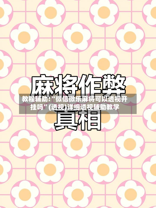 教程辅助!“微信微乐麻将可以透视开挂吗	”(透视)详细透视辅助教学-第2张图片