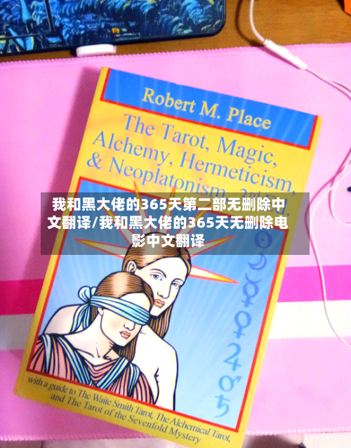 我和黑大佬的365天第二部无删除中文翻译/我和黑大佬的365天无删除电影中文翻译-第2张图片