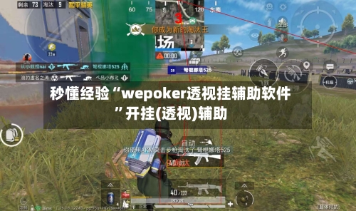 秒懂经验“wepoker透视挂辅助软件”开挂(透视)辅助-第2张图片