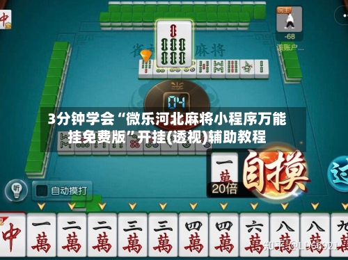 3分钟学会“微乐河北麻将小程序万能挂免费版”开挂(透视)辅助教程