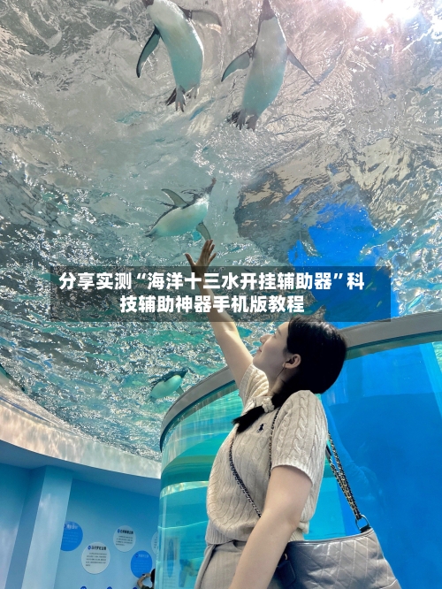 分享实测“海洋十三水开挂辅助器”科技辅助神器手机版教程