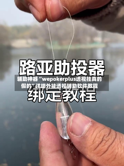 辅助神器“wepokerplus透视挂真的假的	”详细外挂透视辅助软件教程-第2张图片