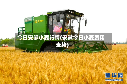 今日安徽小麦行情(安徽今日小麦费用走势)