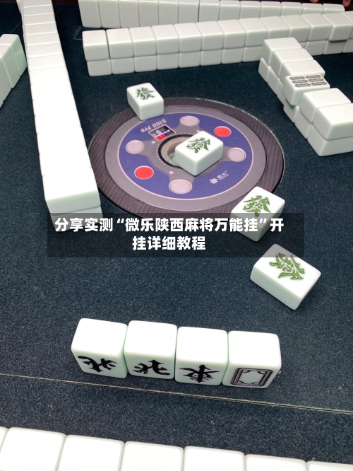 分享实测“微乐陕西麻将万能挂	”开挂详细教程-第2张图片