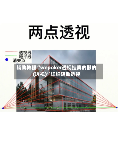 辅助教程“wepoker透视挂真的假的(透视)	”详细辅助透视-第2张图片
