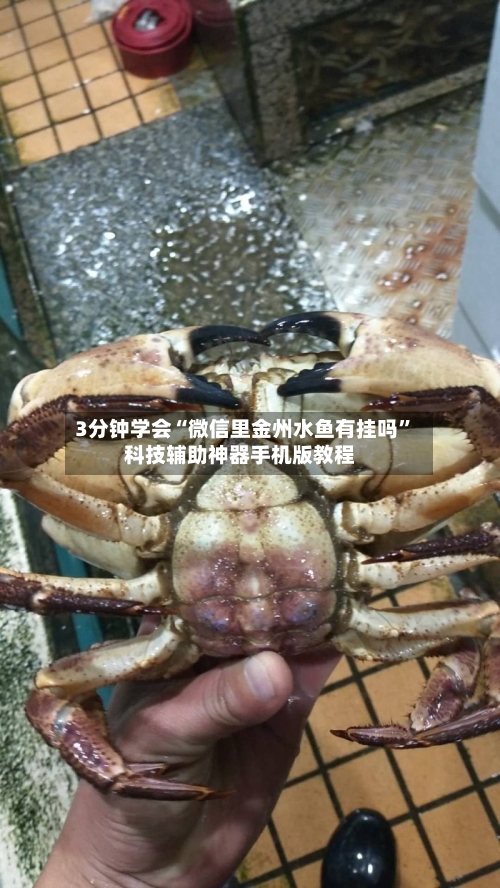 3分钟学会“微信里金州水鱼有挂吗”科技辅助神器手机版教程-第2张图片