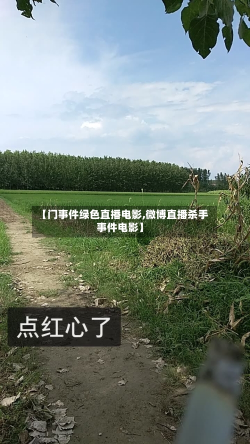 【门事件绿色直播电影,微博直播杀手事件电影】-第2张图片