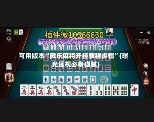 可用版本“微乐麻将开挂教程步骤	”(曝光透视必备猫腻)-第2张图片
