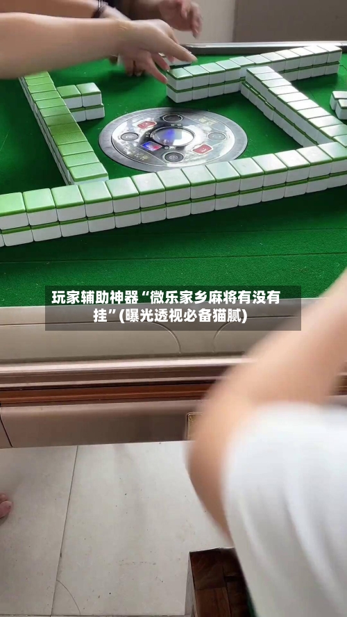 玩家辅助神器“微乐家乡麻将有没有挂	”(曝光透视必备猫腻)-第2张图片
