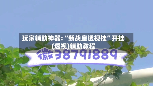 玩家辅助神器:“新战皇透视挂”开挂(透视)辅助教程
